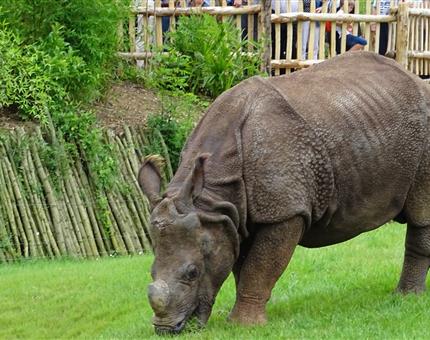 Proche du camping 4 étoiles de la route d'or le zoo de la flèche